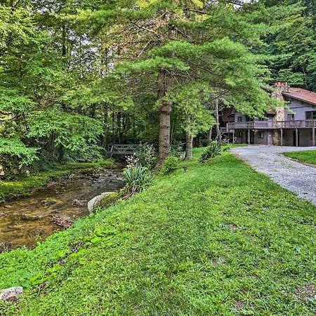 Creekside Roan Mountain Cabin Walk To Trails Exterior foto